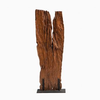 Organic sculpture in Narra hardwood from the Philippines