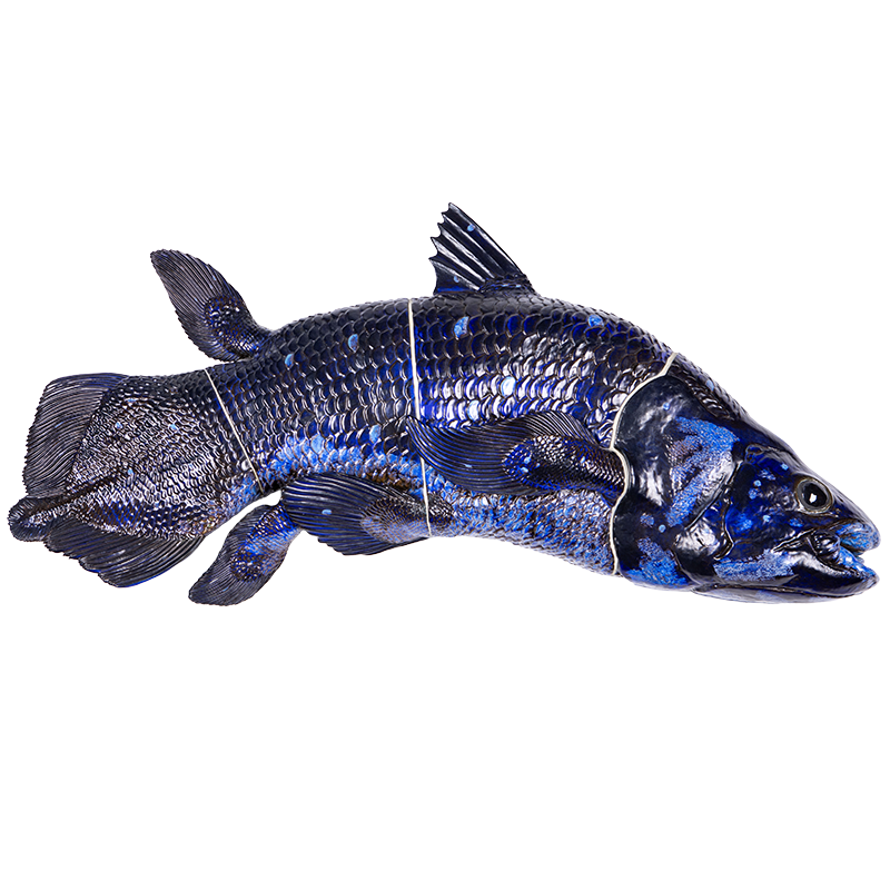 Månedens fokus Februar 2026